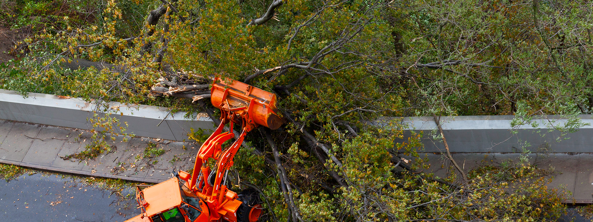Tree Trimming/Removal & Storm Clean Up Nelts Inc.
